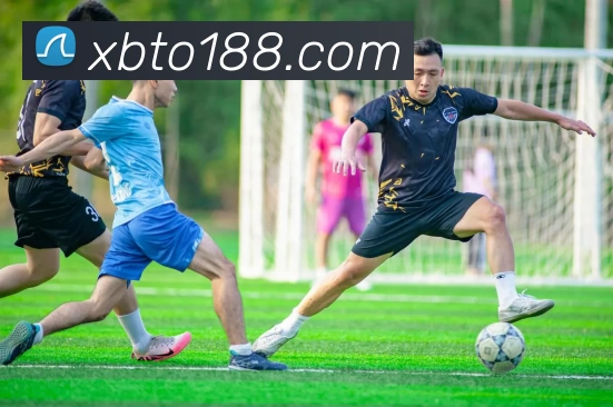 XBTO官网发展历程